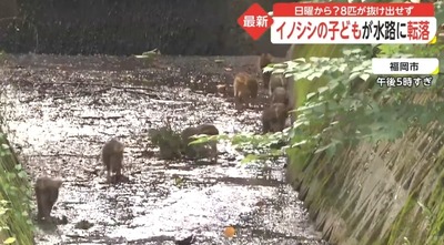 スロットとパチンコのまとめ鈴木さん速報