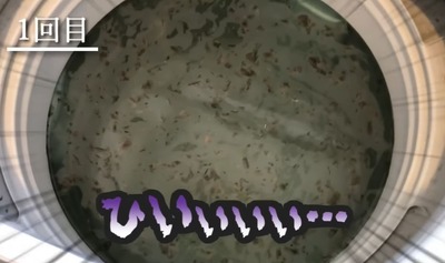 パチンコまとめ