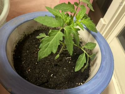 スマスロまとめ