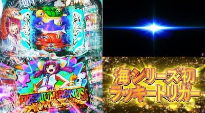 ★画像説明★