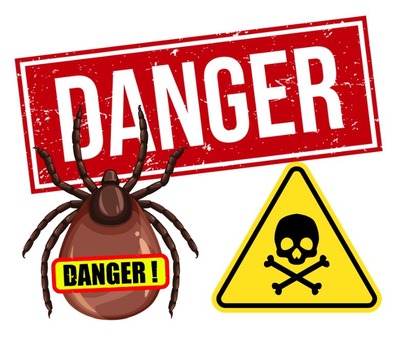 マダニ 千葉県 君津市