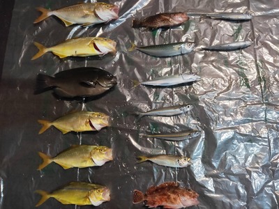 スロットとパチンコのまとめ鈴木さん速報