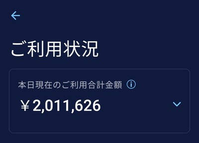 ★画像説明★