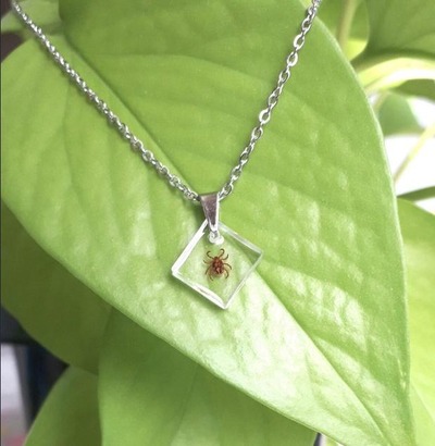 スロットとパチンコのまとめ鈴木さん速報