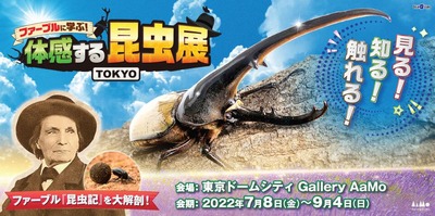 スロットまとめ