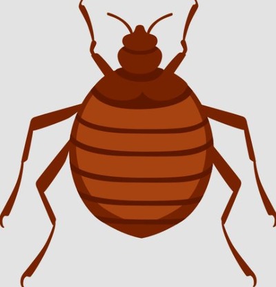 スマスロまとめ