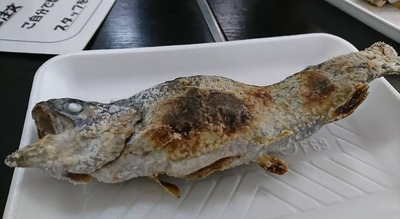 スロットとパチンコのまとめ鈴木さん速報