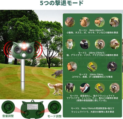 ★画像説明★