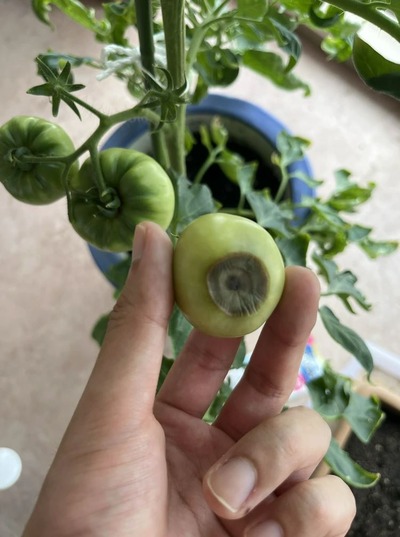 スマスロまとめ