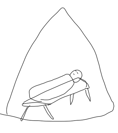 ★画像説明★