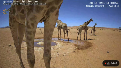 スロットとパチンコのまとめ鈴木さん速報