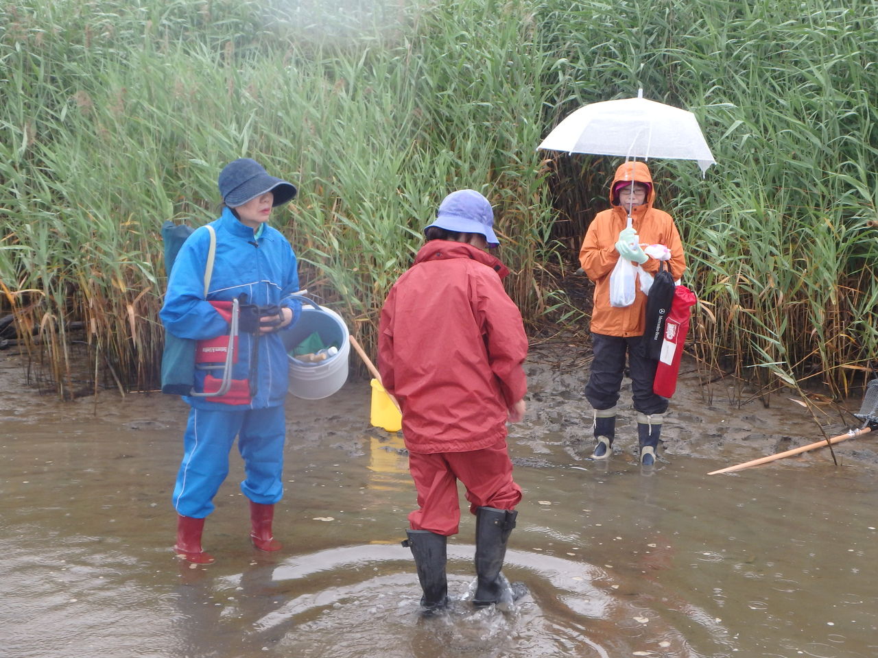 名取川河口のしじみ採り どんづまり温泉