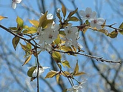 �պ�2
