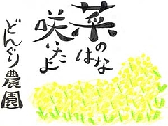 �ڤβ֥��饹��