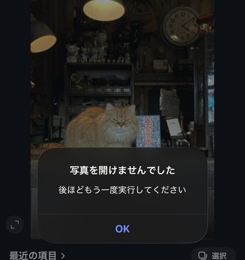 Instagram���Զ�硡�����ں�