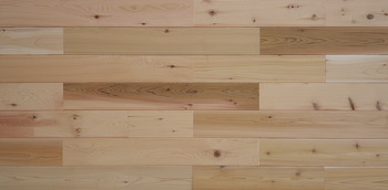 ��åɥ������������ں�