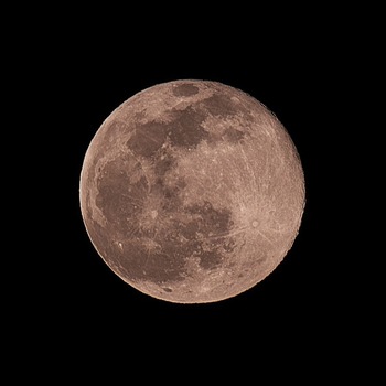 2022年1月の満月 Wolf Moon(ウルフムーン)前田木材