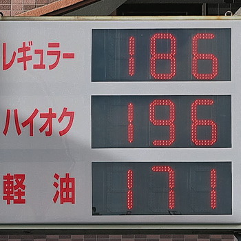 ��������ƭ�������ں�