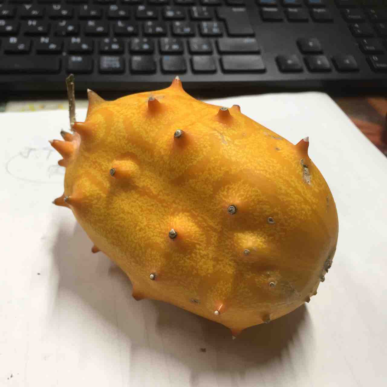 悪魔の実 キワーノを切る 材木屋とゆかいな仲間