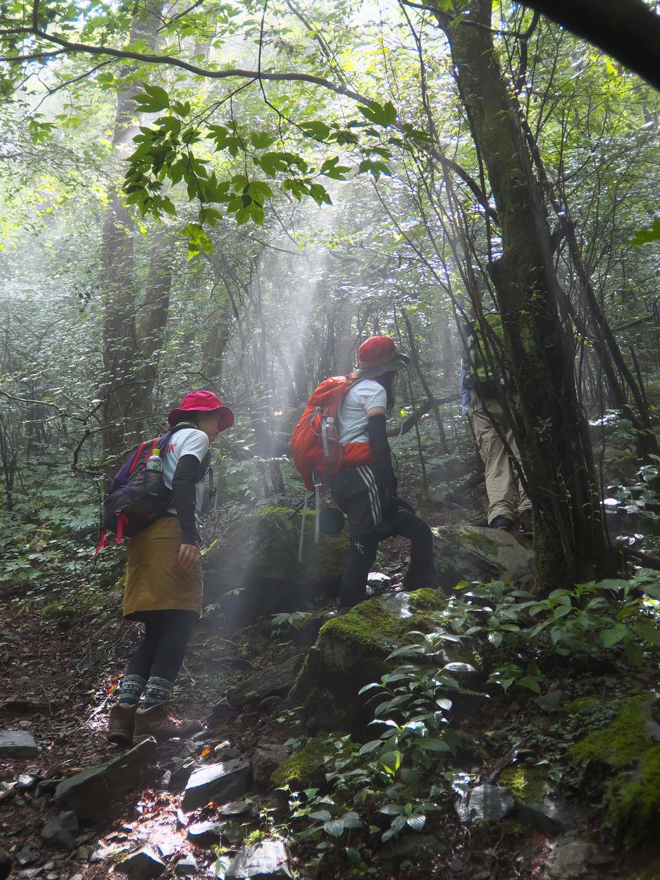8月11日 山の日 金山 花乱の滝 滝川 コース 私たちの夏の宝物 どんぐりトトロの山散歩