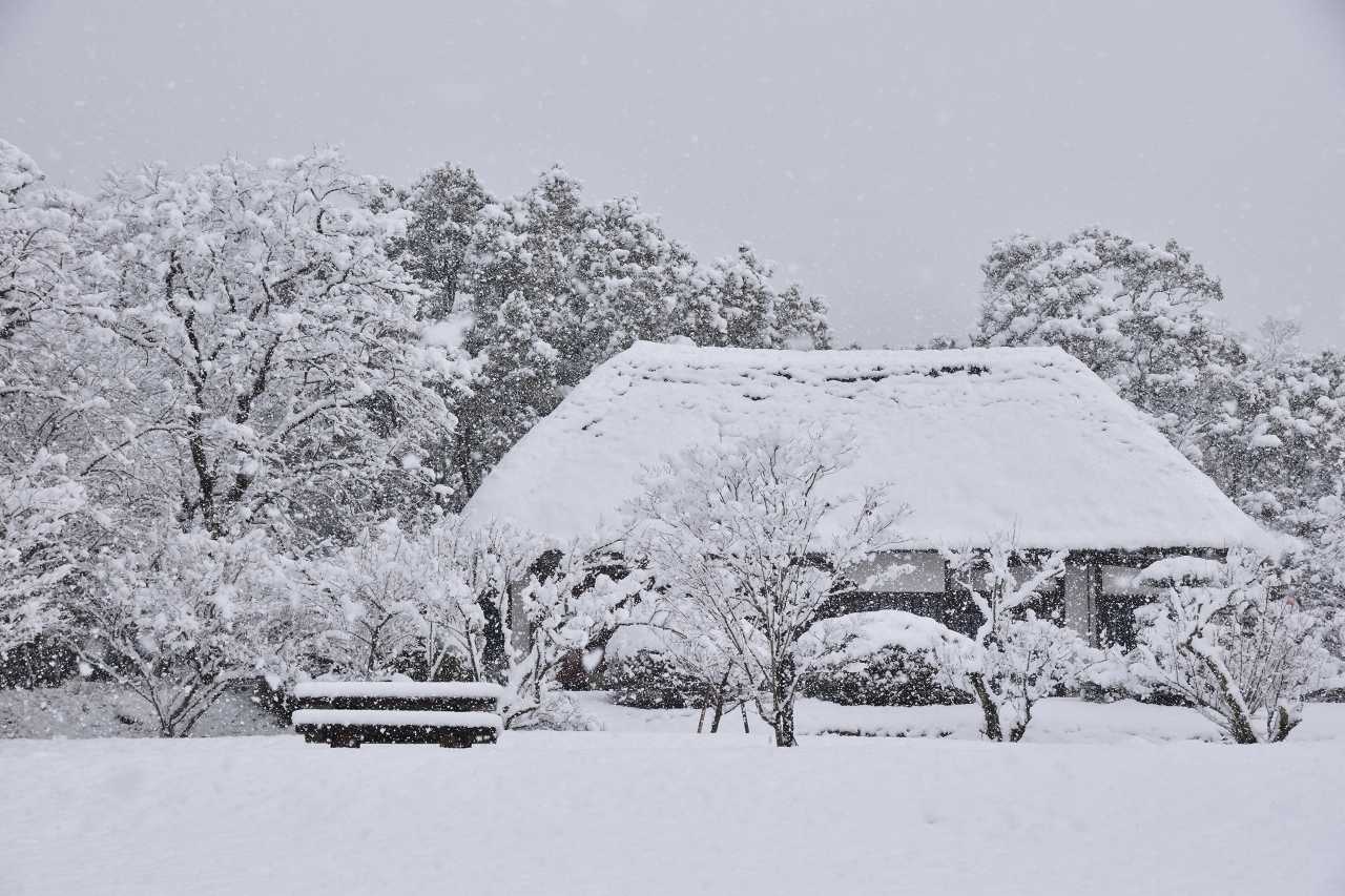 佐賀の風景 1月11日 この冬一番の寒波で佐賀市平野部でも積雪がありました どんぐりトトロの山散歩
