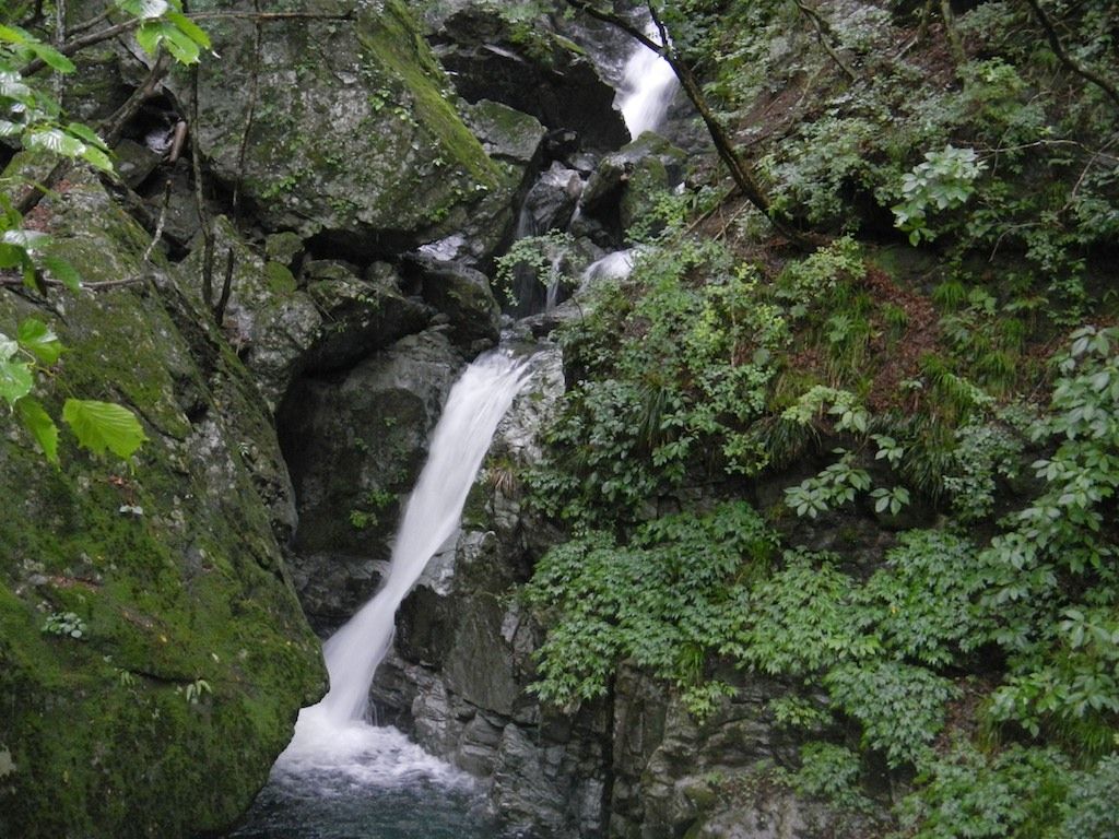 12年7月8日 日 奥多摩 日原川 倉沢谷塩地谷 どんぐり山の会 12年7月8日 日 奥多摩 日原川 倉沢谷塩地谷 どんぐり山の会