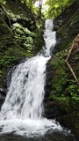 DSC_0326