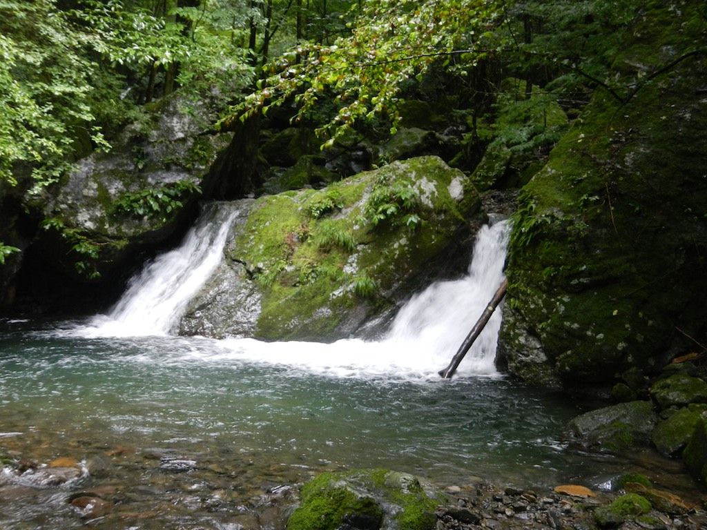 12年7月8日 日 奥多摩 日原川 倉沢谷塩地谷 どんぐり山の会 12年7月8日 日 奥多摩 日原川 倉沢谷塩地谷 どんぐり山の会