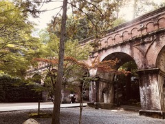 050