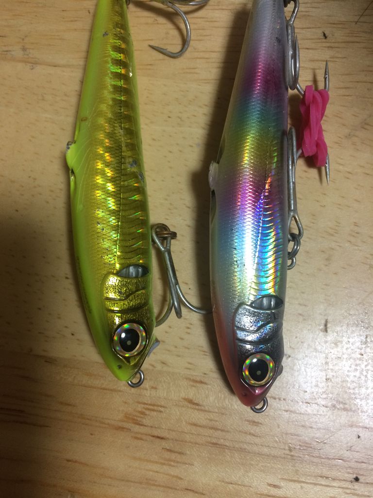 エドニス ミサイル メガバス edonis missile megabassインプレ 市川シーバス釣り日記 エドニス ミサイル メガバス edonis missile megabassインプレ 市川シーバス釣り日記