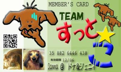 Team suttoco 