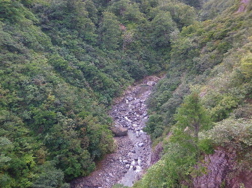 IMGP0547