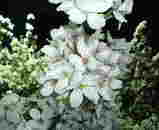 200504081848.jpg