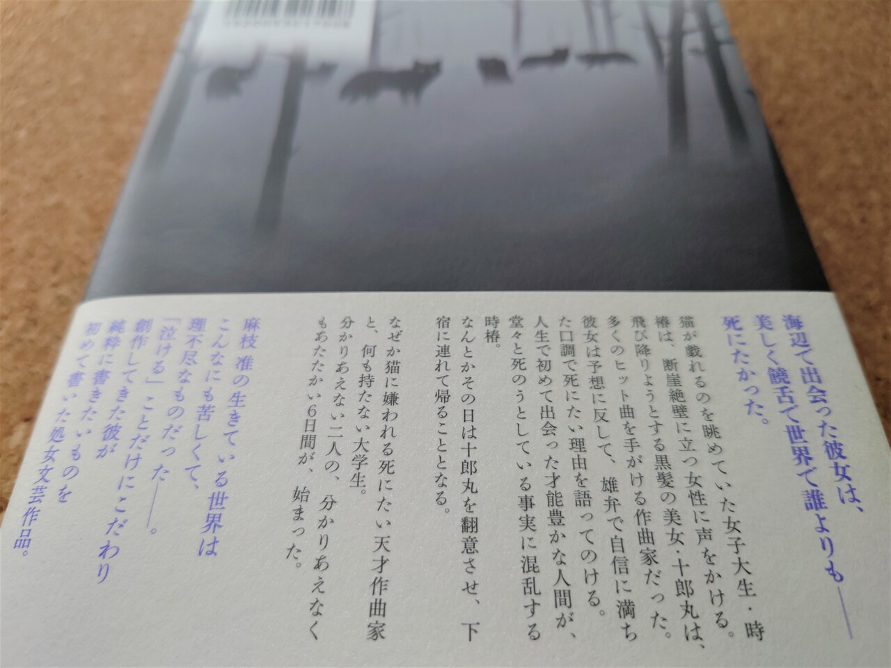 麻枝准 猫狩り族の長 感想と考察 麻枝准の作家性とkeyらしさの正体とは ドントライフ