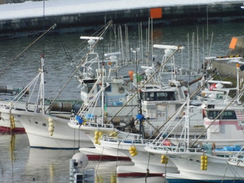 DSCN4085