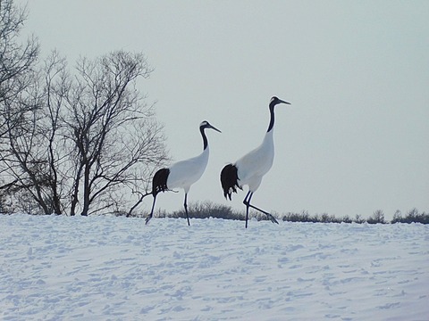 CYMERA_20250309_085007