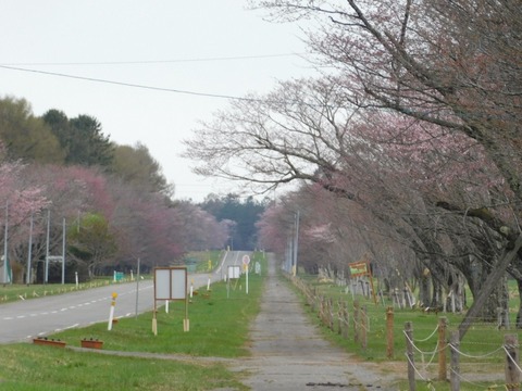 DSCN4185