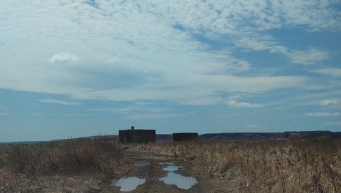 DSC_5491