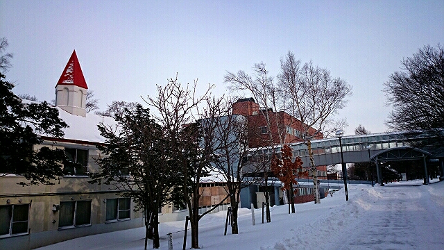 北海道酪農学園大学という異世界 後庭 北の国カラー 北海道えべつ 単身赴任暮らし日記