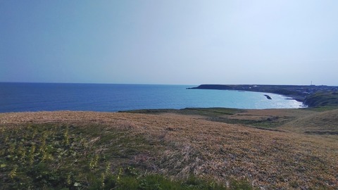 CYMERA_20250525_085807