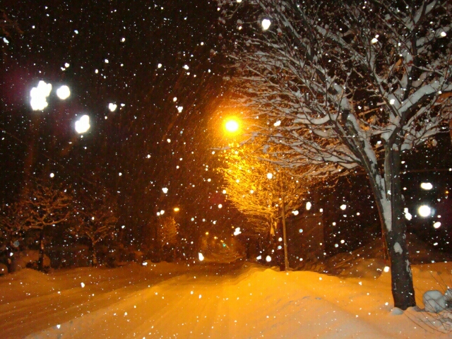 雪降る夜は 北の国カラー 北海道えべつ 単身赴任暮らし日記 雪降る夜は 北の国カラー 北海道えべつ 単身赴任暮らし日記