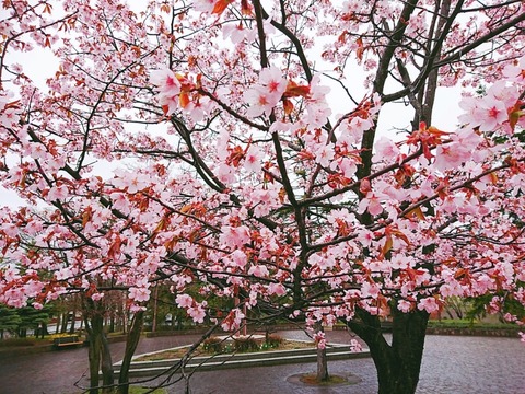CYMERA_20250511_101036