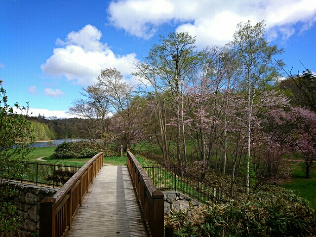 瑞穂の池 百年記念塔 さよならヒヨドリ 北の国カラー 北海道えべつ暮らし日記 瑞穂の池 百年記念塔 さよならヒヨドリ 北の国カラー 北海道えべつ暮らし日記