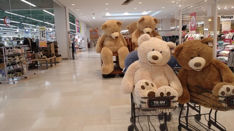 DSC_4200