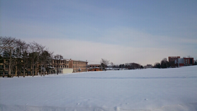 北海道酪農学園大学という異世界 前庭 北の国カラー 北海道えべつ 単身赴任暮らし日記