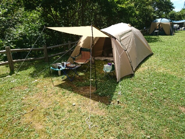 DCM 組立らくらくリビング ドームテント