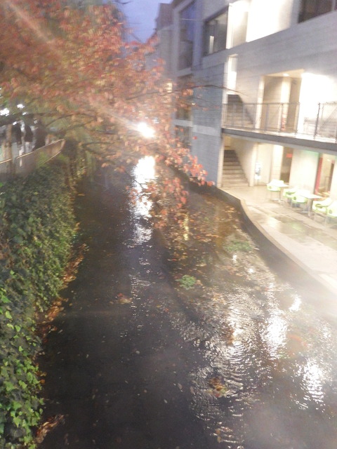 DSCF0667