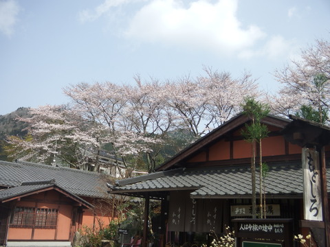 DSCF0833