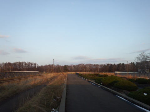 北海道百年記念塔撤去跡地