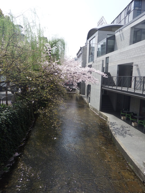 DSCF0820
